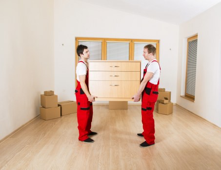 Eco-friendly packing boxes and wrap for Roehampton relocation